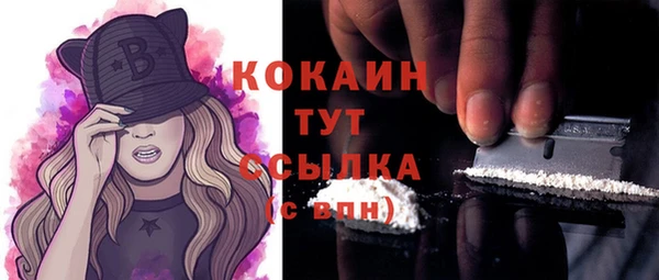 мдпв Верхний Тагил