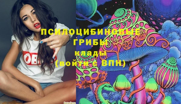 спайс Верея
