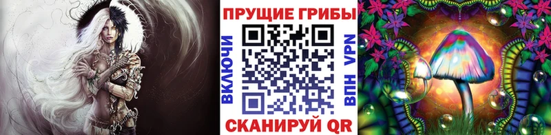 Галлюциногенные грибы ЛСД Купить Киселёвск